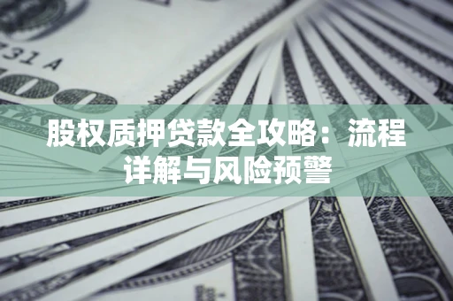 北京股权质押贷款全攻略：流程详解与风险预警