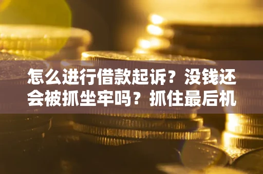 北京怎么进行借款起诉？没钱还会被抓坐牢吗？抓住最后机会！