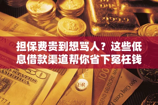 北京担保费贵到想骂人？这些低息借款渠道帮你省下冤枉钱