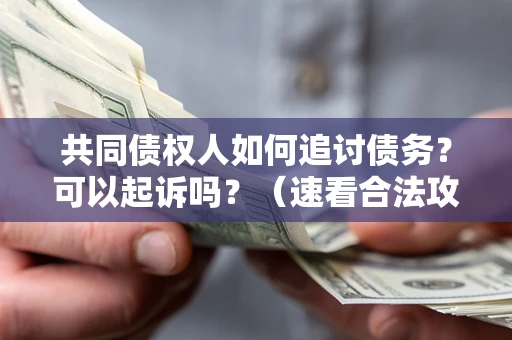 北京共同债权人如何追讨债务？可以起诉吗？（速看合法攻略）