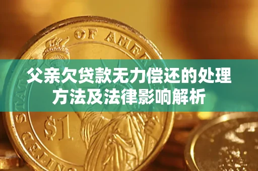 北京父亲欠贷款无力偿还的处理方法及法律影响解析